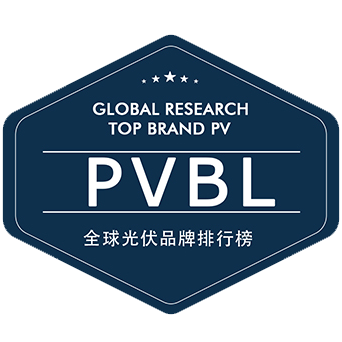 PVBL Logo